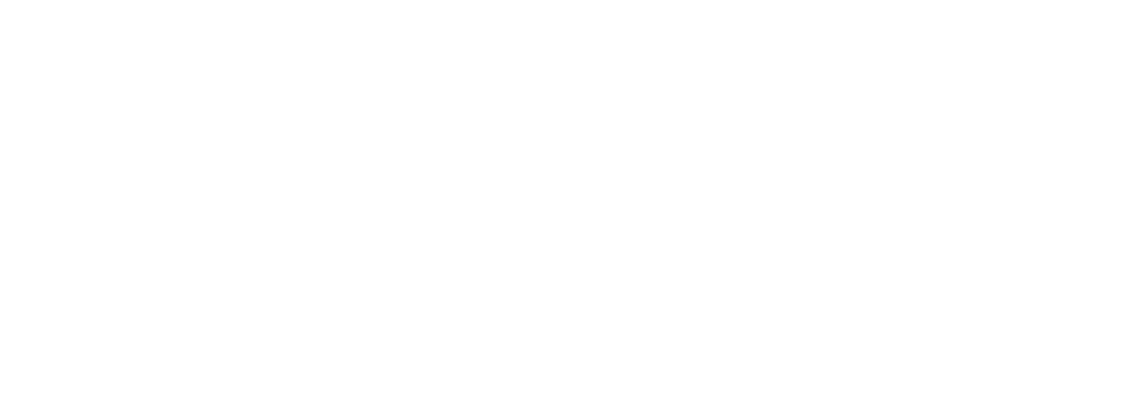 L'Optimist